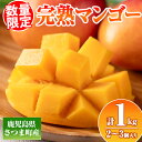 【ふるさと納税】≪数量限定≫完熟マンゴー(化粧箱入り2〜3玉・計1kg) 鹿児島 国産 九州産 マンゴー フルーツ 完熟 果物 果実 ギフト プレゼント 贈答【...