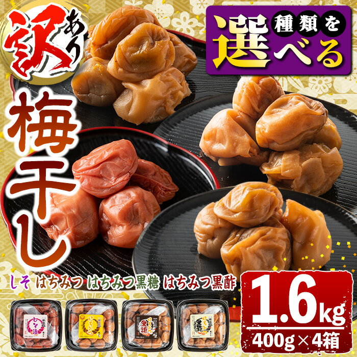 【ふるさと納税】＜種類が選べる＞