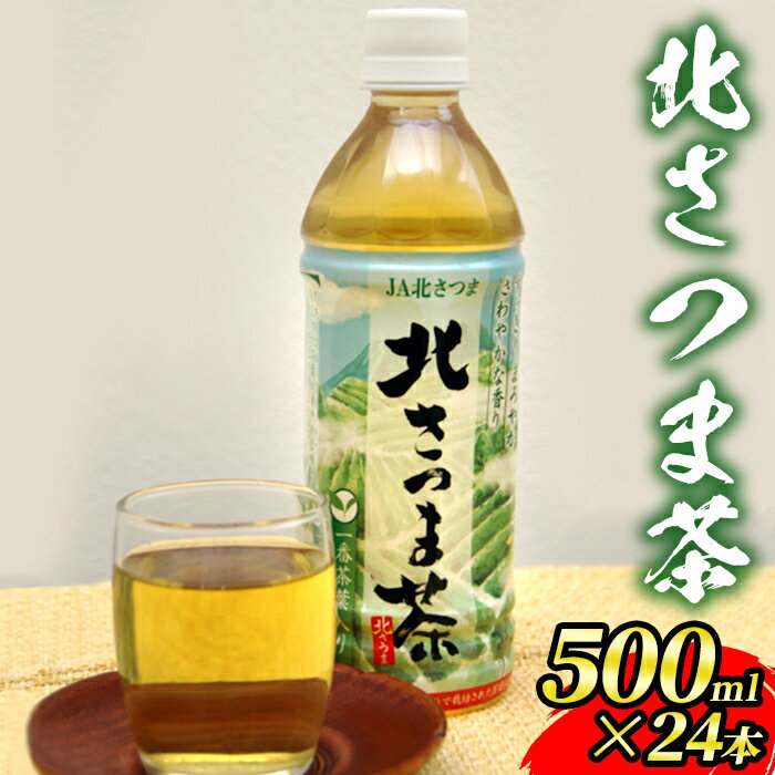 爽やかな味と香り!北さつま茶(500ml×24本) 鹿児島 国産 九州産 お茶 緑茶 飲料 ペットボトル[JA北さつま]