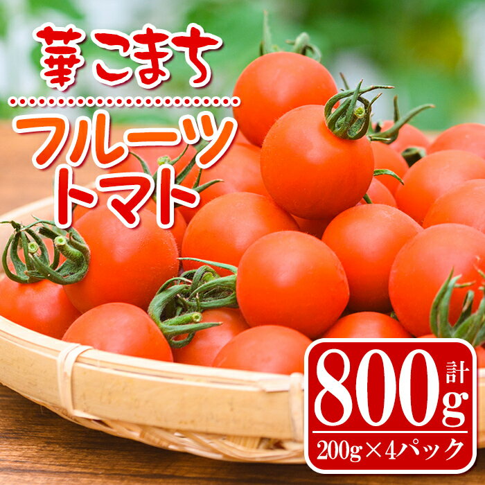 《期間・数量限定》華こまちフルーツトマト(計800g・200g×4パック) 鹿児島 国産 九州産 野菜 とまと トマト ミニトマト フルーツトマト サラダ【吉祥庵園芸】