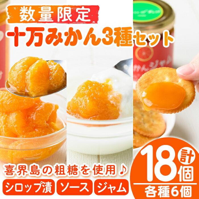 【ふるさと納税】≪毎月数量限定≫十万みかん加工品3種セット(シロップ漬け・ソース・ジャム各6個・計18個) 鹿児島 国産 九州産 フルーツ 柑橘 ミカン 蜜柑 調味料 シロップ漬 果実【田野農園】
