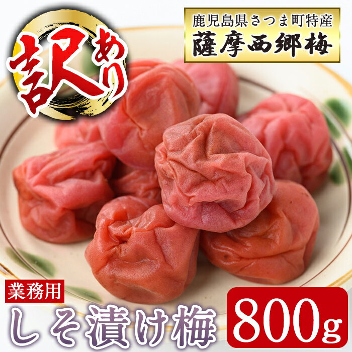 【ふるさと納税】<訳あり・業務用>薩摩西郷梅しそ漬け梅(800g)まろやか 南高梅 梅 梅干し うめぼし 紫蘇 しそ 粒 大きい 業務用 訳あり 簡易包装 常温【薩摩西郷梅生産組合】
