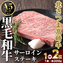 【ふるさと納税】<内容量が選べる!> 鹿児島県産 北さつま高崎牛 サーロインステーキ (約300g×1枚 or 2枚 )黒毛和牛 A5ランク A5 雌牛 ステー...