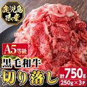 【ふるさと納税】【A5等級】鹿児島県産黒毛和牛切り落とし(計750g・250g×3パック) 鹿児島 国産 黒牛 牛肉 九州産 霜降り 切落し A5等級 小分け お肉 【カミチク】