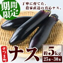 【ふるさと納税】《期間限定》ナス 筑陽 (約5kg・25本~30本) 鹿児島 国産 九州産 茄子 なす なすび 夏野菜 産地直送 農家直送 野菜 ベジタブル 【さつま園芸組合】
