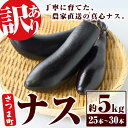 【ふるさと納税】《期間限定》<訳あり> ナス 筑陽 (約5kg・25本~30本) 鹿児島 国産 九州産 茄子 なす なすび 夏野菜 産地直送 農家直送 野菜 ベジタブル 【さつま園芸組合】