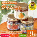 【ふるさと納税】薩摩中央高校ジャムセット(150g×3個×3種・合計9個) 鹿児島 加工食品 果物 詰め合わせ 梅 うめ ハンドメイド ジャム マーマレード ギ...