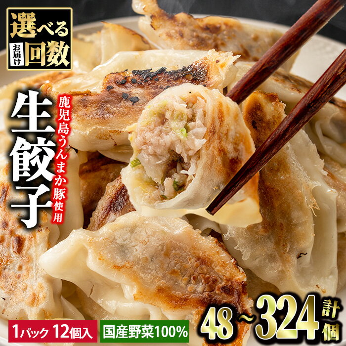 【ふるさと納税】タレ付き！鹿児島うんまか豚生餃子(計108個・12個入り×9P) 鹿児島 冷凍 にんにく・ニラ不使用 国産野菜100％ ぎょうざ 餃子 ギョーザ 焼き餃子 水餃子 生餃子 おかず【肉の寺師】のサムネイル