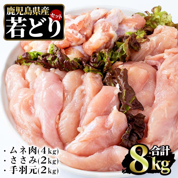 【ふるさと納税】まつぼっくり　若どりムネ肉4kg・ささみ2kg・手羽元2kgセット