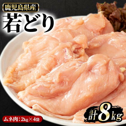 鹿児島県産 若鶏ムネ肉(計8kg・2kg×4袋)国産 九州産 鶏肉 鶏肉 とり肉 チキン むね肉 胸肉 肉 お肉 蒸し鶏 唐揚げ サラダ 筑前煮 焼き鳥 おかず 冷凍 ささみ【まつぼっくり】matu-6102