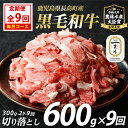【ふるさと納税】<定期便・毎月発送全9回> 宮路ファームの黒毛和牛切り落とし(300g×2パック) 鹿児島県産 切り落とし 牛肉 すき焼き パック詰め 肉じゃが 牛丼 野菜炒め 農林水産大臣賞 肉 しゃぶしゃぶ 国産黒毛和牛 焼肉 定期便【宮路ファーム】f-miyaji-1389-09R7