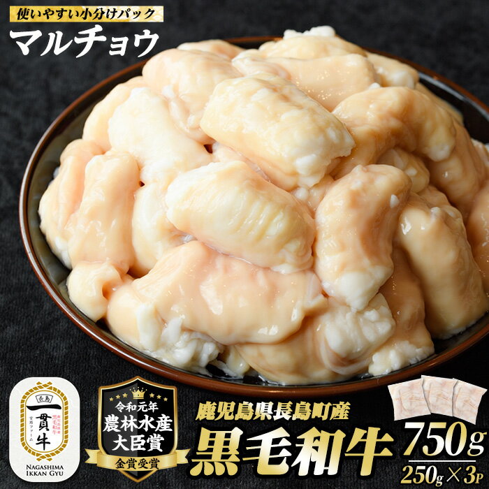 鹿児島県長島町産 和牛ホルモン マルチョウ(計750g・250g×3P)カット済 黒毛和牛 和牛 特産品 国産 牛 ウシ 丸腸 もつ 焼肉 BBQ バーベキュー 鍋 冷凍 農林水産大臣賞 小分け 個包装 [宮路ファーム]f-miyaji-6049