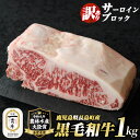 【ふるさと納税】《訳あり》鹿児島県長島町産 サーロインブロック(1kg)黒毛和牛 和牛 特産品 国産 ブロック 塊肉 牛 ウシ 牛肉 ステーキ 焼肉 BBQ バ...