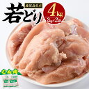 【ふるさと納税】若どり ムネ肉 (計4kg・2kg×2袋) 鹿児島県産 若鶏 唐揚げ や 炭火焼 焼き鳥 サラダチキン 等 あらゆる おかず に最適 ふるさと納税 鶏肉 むね 国産鶏 鶏むね 鶏むね肉 【まつぼっくり】matu-1446R7a