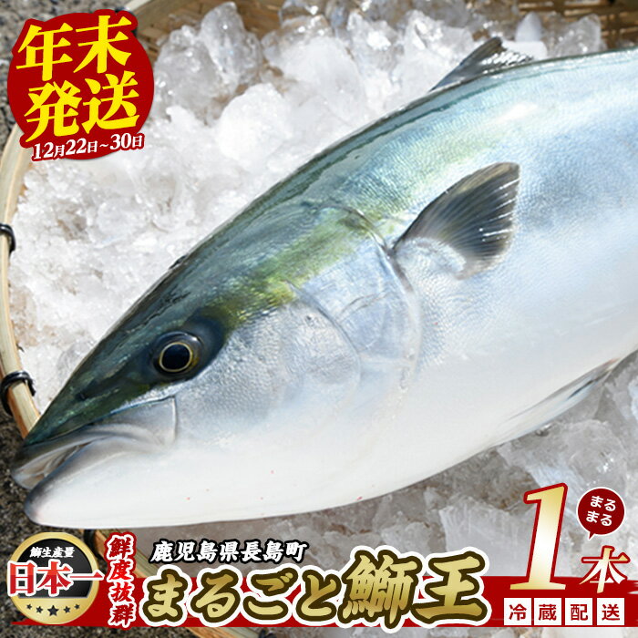 ڤդ뤵ǼǡĹĮû޲