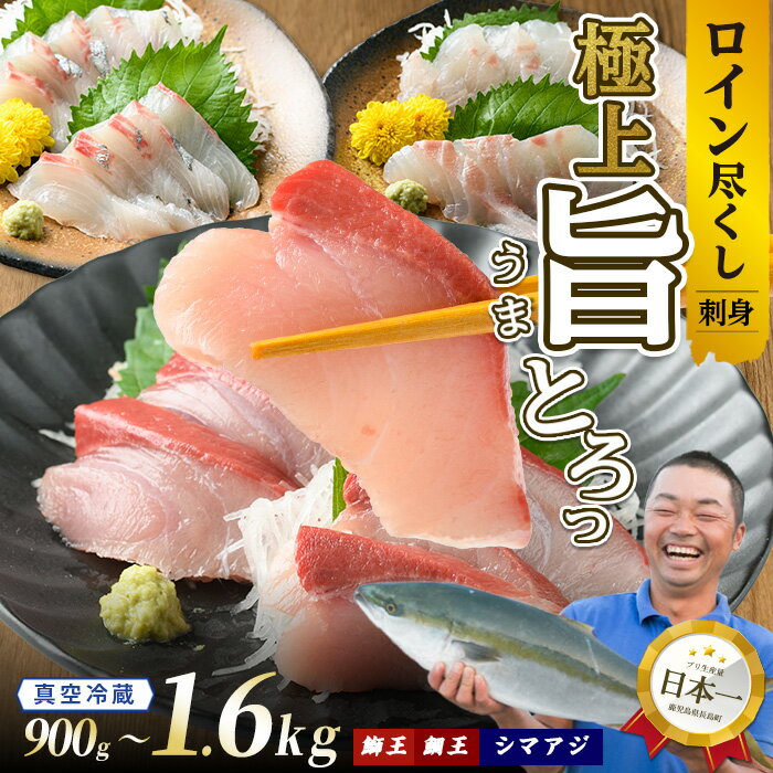 [お刺身用]ロイン種詰め合わせ 選べる内容量 約900g〜1.6kg 切って盛るだけ ロイン 鰤王 鯛王 シマアジ テレビで紹介ぶりの王様「 鰤王 」 半身 切り身 真空パック 届いてすぐに食べれる 産地直送 長島町 冷蔵 ふるさと納税 鰤 鯛 縞鯵 [JFA]jfa-1497