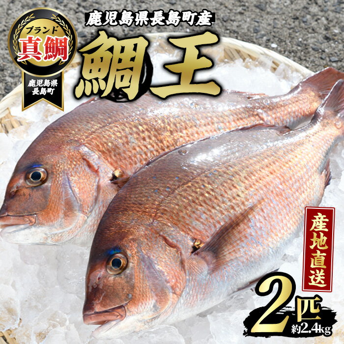 50位! 口コミ数「1件」評価「5」長島町特産「鯛王」(2匹・約2.4kg)国産 鹿児島県産 タイ たい 冷蔵 海鮮 海産物 魚介 ブランド 魚 養殖 刺身 煮物 焼き魚 おつ･･･ 