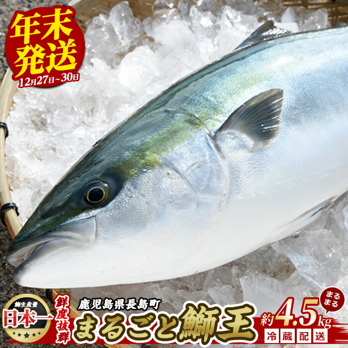【ふるさと納税】＜年末の発送日が選べる＞「ザ!鉄腕!DASH!!」で紹介されました！長島町特産「鰤王」約3.8kg(まるごと1本・内臓処理済)国産 鹿児島県産 ブリ ぶり 冷蔵 海鮮 海産物 魚介 ブランド 魚 刺身 しゃぶしゃぶ ぶりしゃぶ 海鮮丼 先行予約 産地直送【JFA】jfa-898のサムネイル