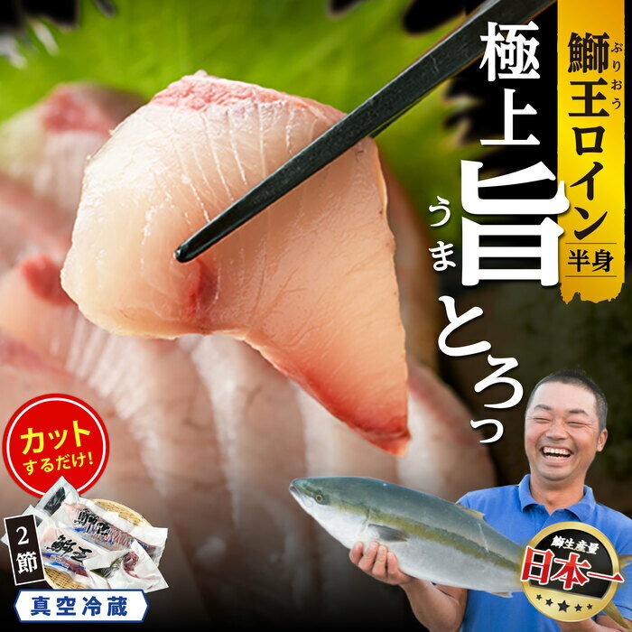 ڤդ뤵Ǽǡۡڤäۡι٤ǾҲ֤β͡޲ץ2