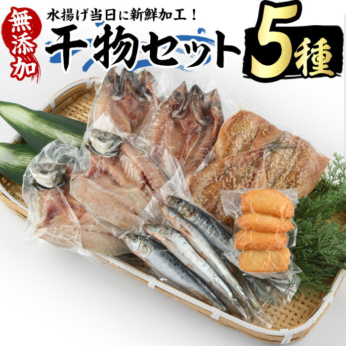 1位! 口コミ数「1件」評価「5」浜のかあちゃん　干物5種セット 鹿児島県産 国産 長島町産 干物 ひもの 丸干し 塩干し さば サバ 鯖 あじ アジ 鯵 いわし イワシ 鰯･･･ 