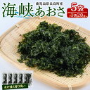 【ふるさと納税】鹿児島県長島町産 乾燥あおさ(100g)鹿児島県 国産 九州産 長島町 アオサ あおさ海苔 のり 海産物 養殖 魚介類 水揚げ セット 味噌汁の...