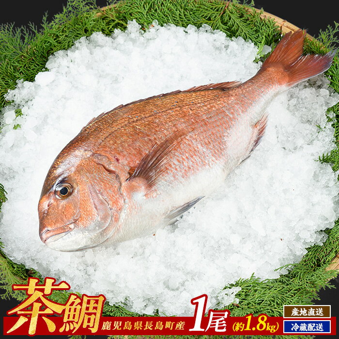 ڤդ뤵Ǽǡ1(2kg)񻺼縩ɿȳʪޤ뤴ȱƤѤĤܿЧľڥusui-1034