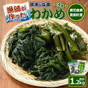 【ふるさと納税】菊栄丸の手作り湯通し塩蔵わかめセット(計1.2kg)茎わかめ 芯付わかめ 海藻 ワカメ 海 味噌汁 みそ汁【菊栄丸水産】kiku-2341