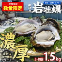 【ふるさと納税】夏に美味い岩がき 約1.5kg 錦盛丸水産 (計約1.5kg・5個×約300g) 鹿児島県産 国産 特産品 長島町産 カキ 牡蛎 殻付き 牡蠣 ...