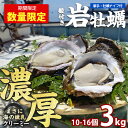 【ふるさと納税】夏に美味い岩がき 約3.0kg 錦盛丸水産 (計約3.0kg・10個×約300g) 鹿児島県産 国産 特産品 長島町産 カキ 牡蛎 殻付き 牡蠣...