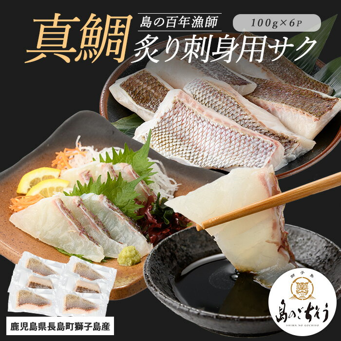 [百年漁師]獅子島産 百年漁師の真鯛 炙り刺身サク (約100g×6パック) [島のごちそう]gochi-1330