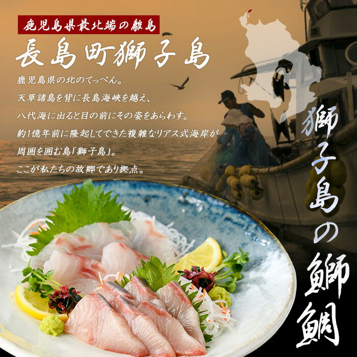 【ふるさと納税】＜百年漁師＞獅子島産 百年漁師の鰤 カマ (2対) 4個【島のごちそう】gochi-1324