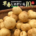 【ふるさと納税】【先行予約】<数量・期間限定>伊唐産早春じゃがいも(10kg)鹿児島県産 長島町 国産 九州産 ばれいしょ ジャガイモ 芋 いも ジャガバター ポテト サラダ 野菜 旬 赤土【旬感foods】horino-868