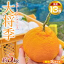 【ふるさと納税】【先行予約】ながしまマンダリン王【露地】(大将季) 約5kg 国産 長島 果物 フルーツ 柑橘 みかん オレンジ おやつ セット 詰め合わせ【な...