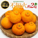 【ふるさと納税】【先行予約】特選大玉 優品不知火6玉入り約2kg【山上農園】yamagami-772R7