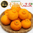 【ふるさと納税】【先行予約】特選大玉 優品不知火 8玉入り約2.5kg【山上農園】yamagami-773R7