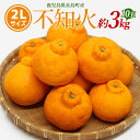 【ふるさと納税】【先行予約】不知火 2Lサイズ 10玉入り約3kg【山上農園】yamagami-775R7