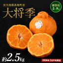 【ふるさと納税】【 2月中旬発送】長島町産 大将季(ハウス) 贈答用(約2.5kg) 【長島柑橘直販合同会社】kanchoku-1544C