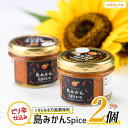 【ふるさと納税】長島の島みかんスパイス(2個)国産 調味料 スパイス 薬味 刺身 うどん おでん サラダ 無添加 唐辛子【レガーレ・ワキタ】waki-1096