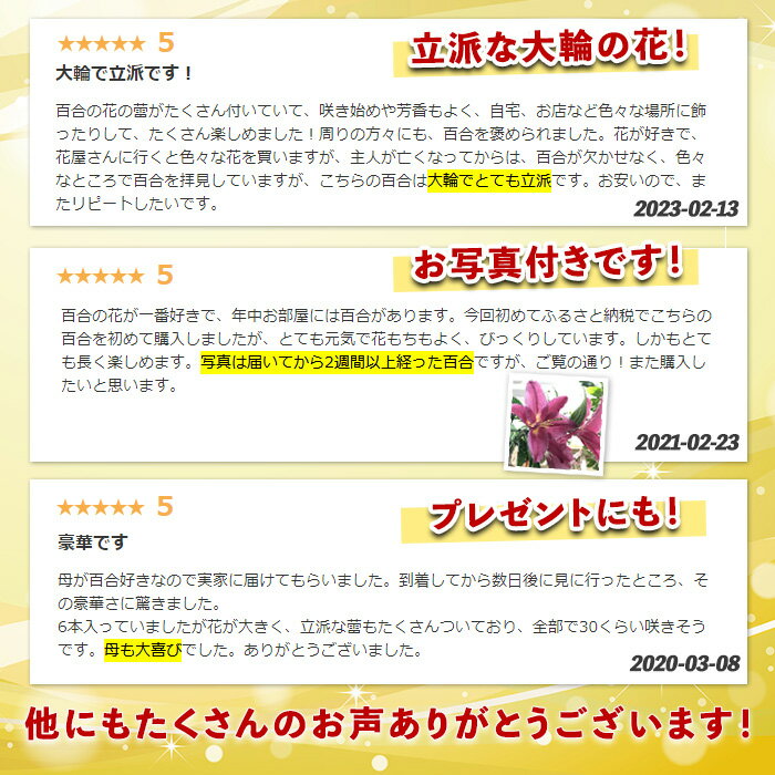 鹿児島県長島町の画像3