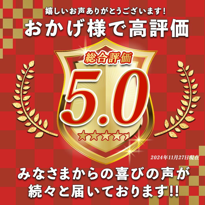 【ふるさと納税】高評価★5.00 「 オリエンタルリリー ( ユリ )」旬のミックス(10本) ふるさと納税 花 花束 鹿児島県産 国産 九州 長島町 百合 植物 フラワー 観賞用 ギフト 贈答 記念日 【宮路園芸】miyaji-7005