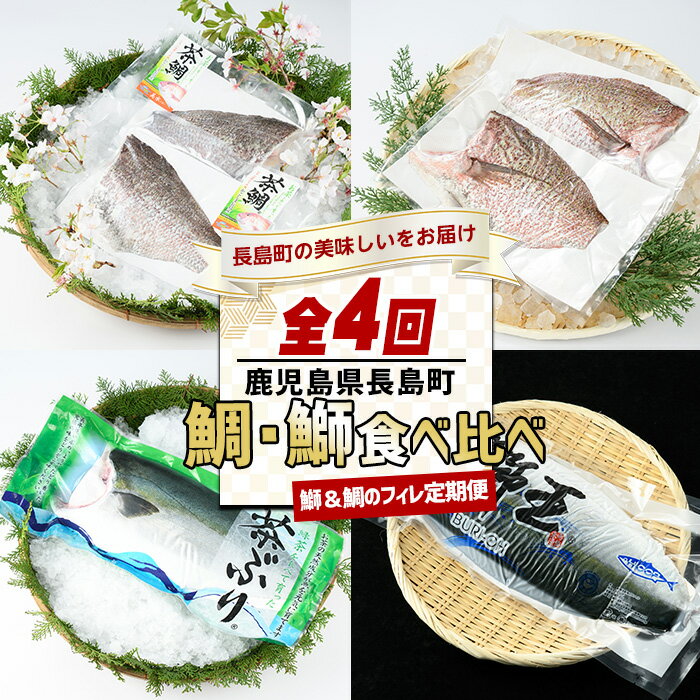 [定期便・毎月発送全4回] 鯛と鰤の食べ比べ定期便(フィレ) 全4回 長島町特産 テレビで紹介ぶりの王様「鯛王」 フィレ フィレ 1枚 切り身 茶鯛 フィレ(2枚入り) 半身 国産 鹿児島県産 鯛 タイ 冷蔵 海鮮 海産物 刺身 海鮮丼 ふるさと nagashima-1514