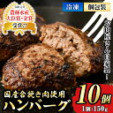 【ふるさと納税】国産合挽き肉使用 自家製ハンバーグ計10個 1個150g 国産 鹿児島 ハンバーグ 冷凍 セット 詰め合わせ 惣菜 肉 合い挽き 合挽 豚肉 牛肉 肉 加工品 小分け 個包装 おかず【宮路…