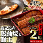 【ふるさと納税】鹿児島県産鰻蒲焼き(約180g×2尾) 鰤王照り煮(2P)国産 うなぎ ウナギ ぶり ブリ海鮮 海産物 魚介 惣菜 おかず 加工品【JFA・薩摩川内鰻】satsuma-714