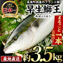 製品仕様 名称 早生鰤王ラウンド 内容量 鰤王：約3.5kg(まるごと1本) ※内蔵処理はいたしておりません 産地 鹿児島県長島町 消費期限 発送日を含めて5日（冷蔵） 配送方法 冷蔵配送 ※離島・北海道・沖縄県配送不可 受取日指定・不在時期等のご相談は：furusato@town.nagashima.lg.jp 発送期日 2024年4月上旬からお申込み順に毎週木曜日随時発送 業者名 株式会社JFA 商品説明 鹿児島県長島町の鰤は黒潮育ち。 この恵まれた自然環境と昔ながらの漁村に育った漁師の知恵がこだわりの「鰤王」を育てています。 鹿児島県では毎年4月にモジャコを採捕しますが、その中でも大きいサイズの一番仔だけを集めて餌付けし、早期出荷用に育て上げたものが【早生鰤王】です。 2年魚の【早生鰤王】は産卵していないため、脂肪含量も保たれています。 サイズは若干小ぶりですが、脂があるのでお刺身としても美味しく召し上がれます。 「鰤王」は、日本一の養殖ブリ生産量を誇る鹿児島県・長島町のブランドブリです。 長島町周辺の海は、海峡が多く潮の流れが早いため、きれいで身の締まった魚が育ちます。 この地で育った「鰤王」は脂がのっていて身もしっかり引き締まっています。 その旨みと歯ごたえは一度味わったらやみつきになる美味しさです。 ・ふるさと納税よくある質問はこちら ・寄附申込みのキャンセル、返礼品の変更・返品はできません。あらかじめご了承ください。「ふるさと納税」寄附金は、下記の事業を推進する財源として活用してまいります。 寄付を希望される皆さまの想いでお選びください。 (1) 景観づくりに係る事業 (2) 夢追い獅子島架橋基金事業 (3) ぶり奨学金基金に関する事業 (4) その他地域活性化に関する事業 入金確認後、注文内容確認画面の【注文者情報】に記載の住所にお送りいたします。 発送の時期は、寄附確認後約14日以内を目途に、お礼の特産品とは別にお送りいたします。