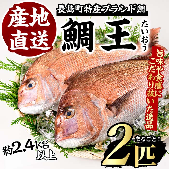 長島町特産「鯛王」(2匹・約2.4kg)国産 鹿児島県産 タイ たい 冷蔵 海鮮 海産物 魚介 ブランド 魚 養殖 刺身 煮物 焼き魚 おつまみ 産地直送[JFA]jfa-22