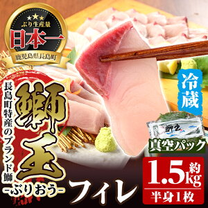 【ふるさと納税】テレビで紹介されました！長島町特産「鰤王」フィレ(約1.5kg・フィレ1枚)国産 鹿児島県産 ブリ ぶり 冷蔵 海鮮 海産物 魚介 ブランド 魚 刺身 ぶりしゃぶ しゃぶしゃぶ 産地直送【JFA】jfa-710