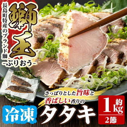 長島町特産「鰤王」タタキ(約1kg・2節) 国産 鹿児島県産 ブリ ぶり 鰤 ぶりおう 海鮮 海産物 魚介 ブランド 魚 真空パック 冷凍 刺身 おつまみ 産地直送【JFA】jfa-1220