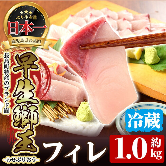 テレビで紹介されました!長島町特産「鰤王」早生鰤王フィレ(約1.0kg・フィレ1枚)国産 鹿児島県産 ぶりおう 冷蔵 海鮮 海産物 魚介 ブランド 魚 真空パック 刺身 しゃぶしゃぶ 海鮮丼 産地直送[JFA]jfa-1218