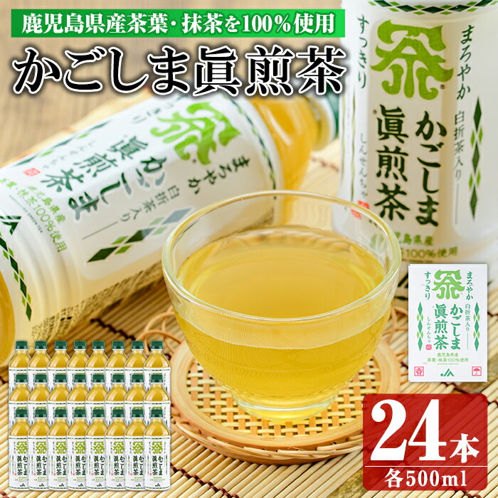 かごしま眞煎茶(500ml24本)鹿児島県 長島町 緑茶 かごしま茶 煎茶 抹茶 お茶 ペットボトル tea【鹿児島県経済農業協同組合連合会】keizai-1252