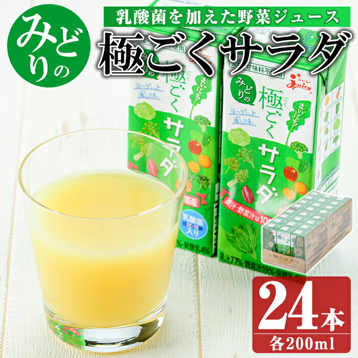 【ふるさと納税】乳酸菌を加えた野菜ジュース!「みどり」の極ごくサラダ(200ml×24本)国産 野菜ジュース 乳酸菌 腸活 果物 くだもの フルーツ 野菜 ヘルシー【鹿児島県経済農業協同組合連合会】keizai-1253